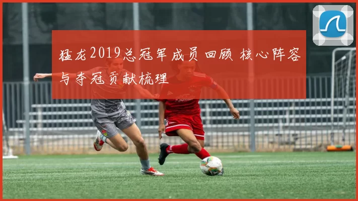 猛龙2019总冠军成员回顾 核心阵容与夺冠贡献梳理