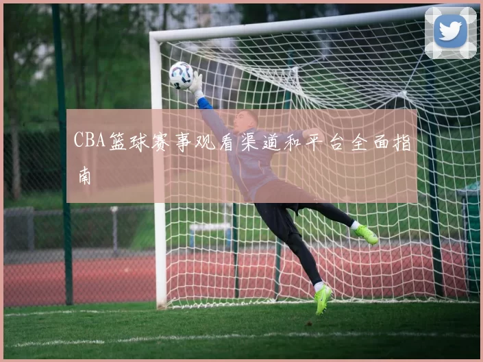CBA篮球赛事观看渠道和平台全面指南